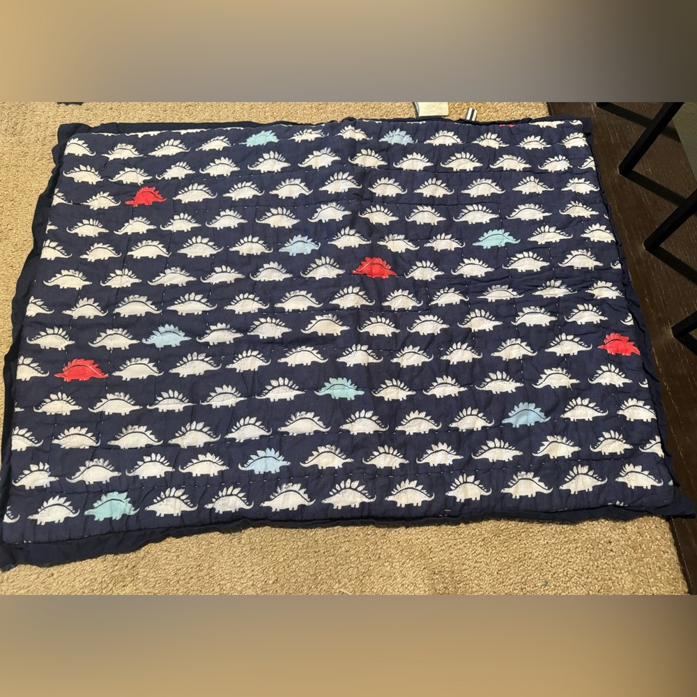 Pottery barn kids dinosaur shams